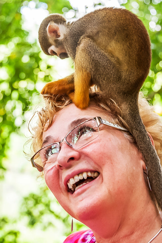 Monkeyland