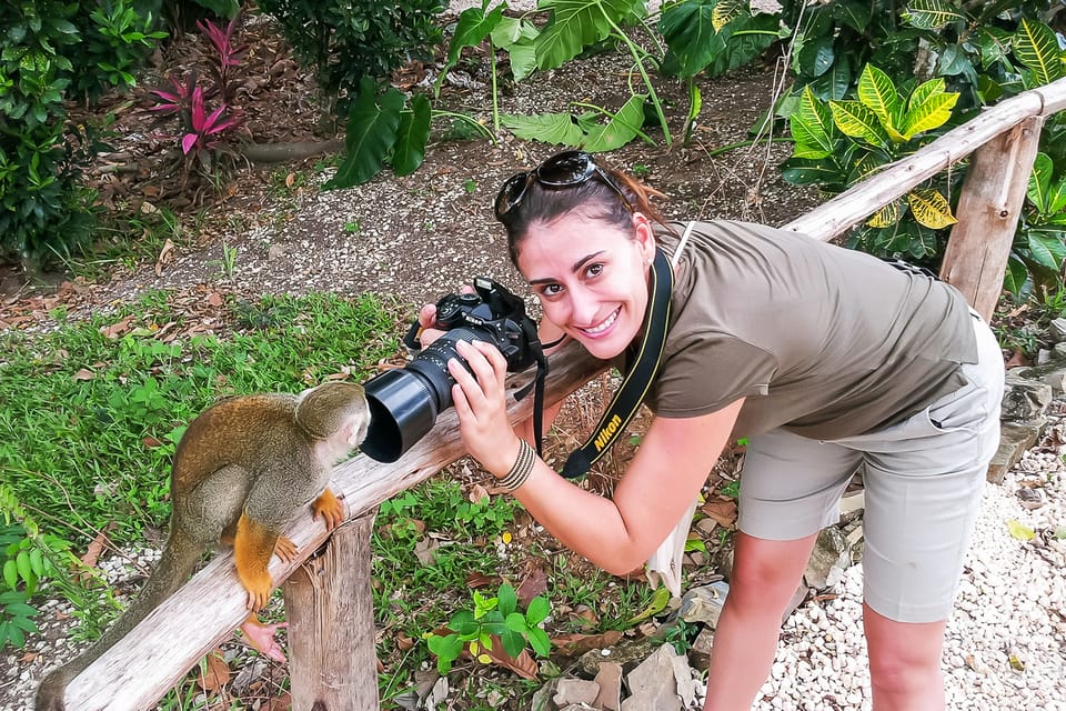 Monkeyland